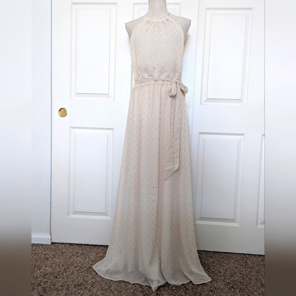 ModCloth Illuminated Elegance Chiffon Maxi Dress in Ivory - Picture 5 of 12